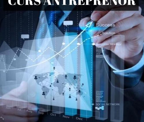 Curs INTENSIV Antreprenoriat